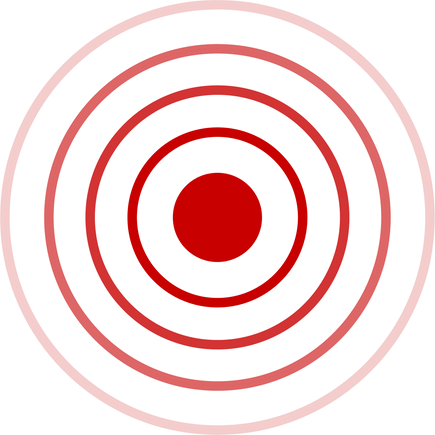 Pain Circles Model Illustration